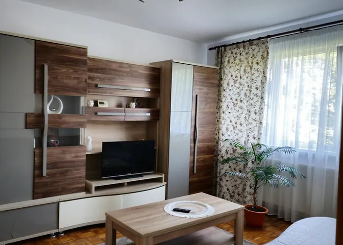 Studio Bulevardul Victoriei Brașov