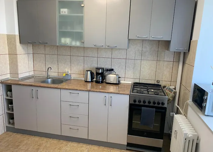 Victoriei Boulevard Private Apartment Brașov