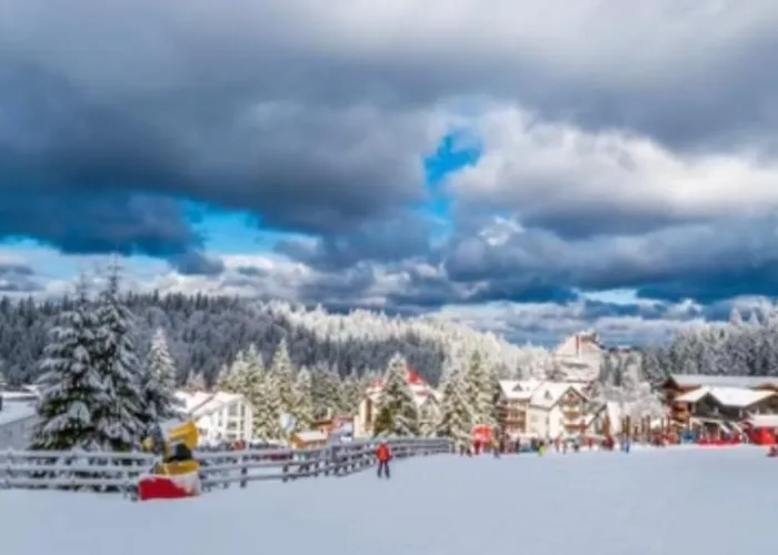 Fai Avantgarden Retreat Brașov