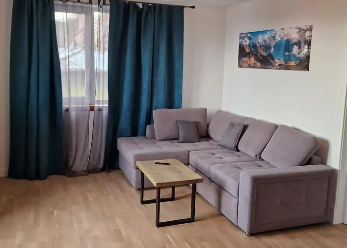 Central Apartment With City View Brașov