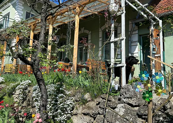 Villa Kuschmann Brașov