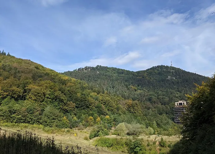 Tampa Mountain Nature Hideaway - Luxury Rentals Brașov