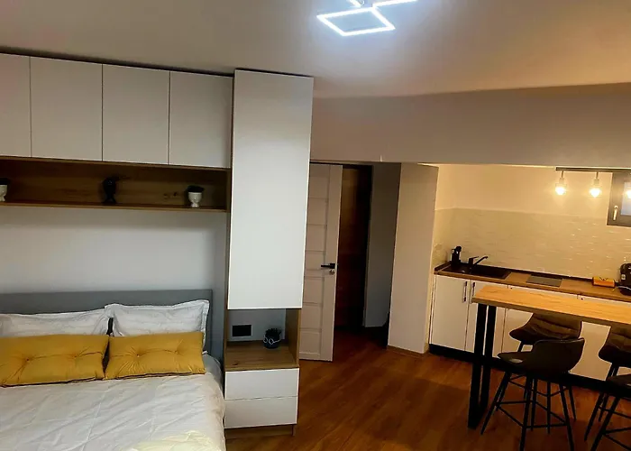 Central Nest Apartment Brașov