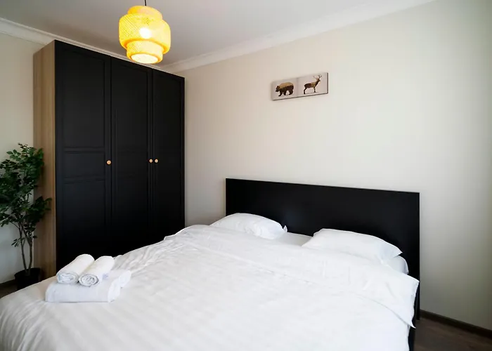 Highview Studio Brașov