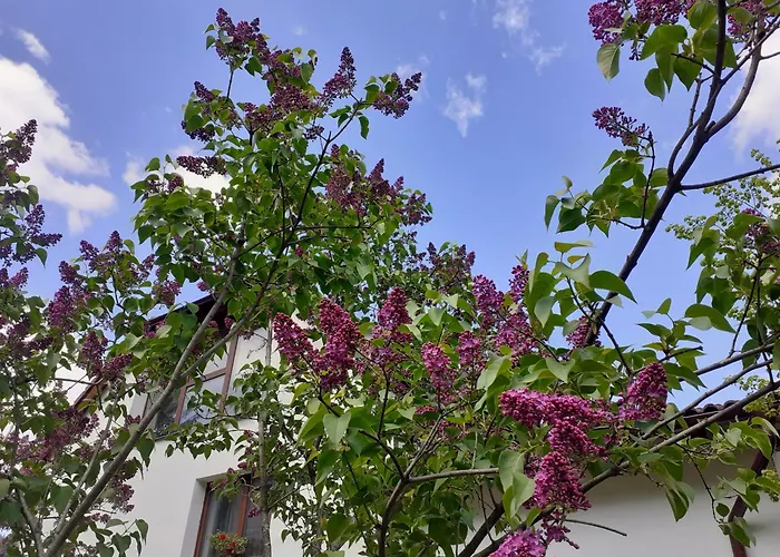 R-House Apartment Brașov