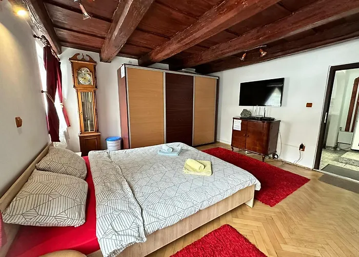 Casa Nicolae Teclu Apartment Brașov