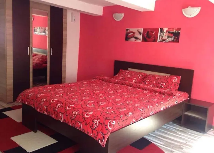 Ursul Balu Apartment Brașov