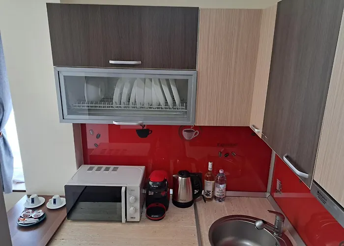 Chic Studio Apartment Brașov