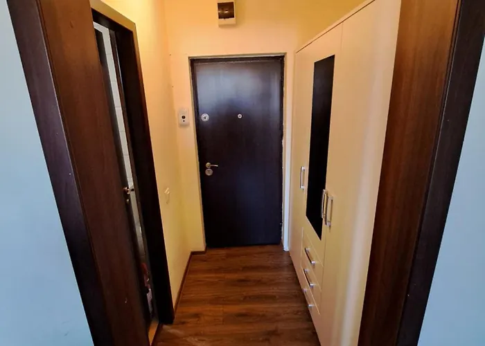 Chic Studio Apartment Brașov