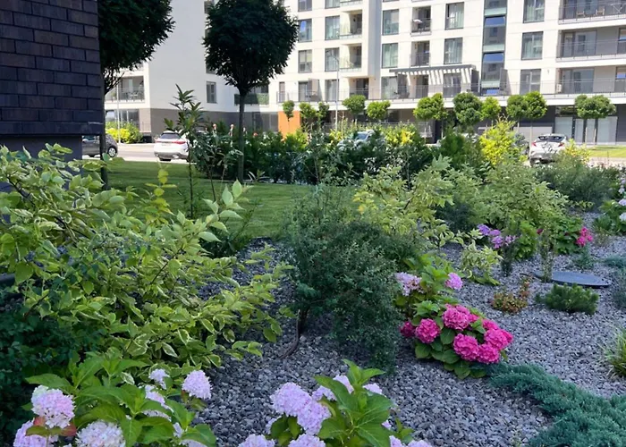 Adela Apartament Brașov