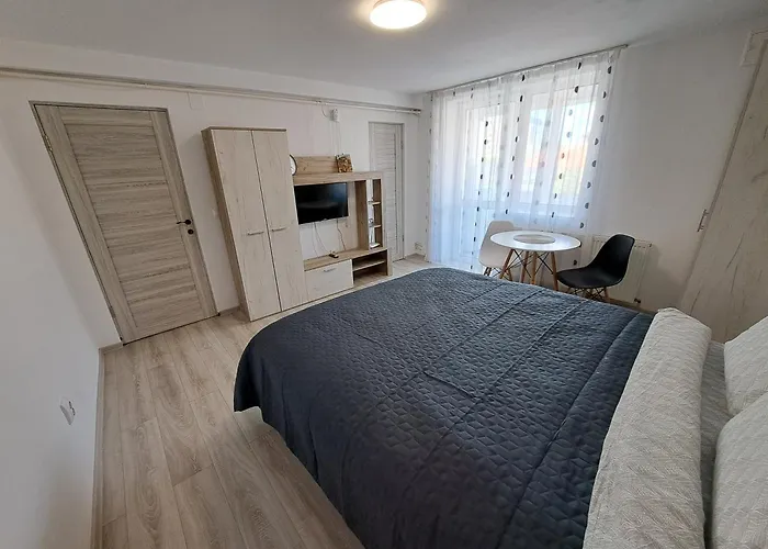 Studio Apartment La Boulevard Brașov