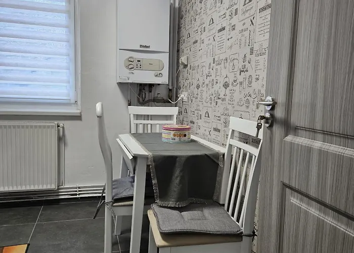 Garsoniera Delia Apartment Brașov