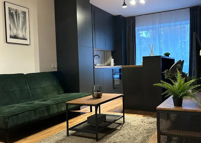 Leaf Studio Brașov