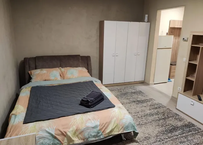 Garsoniera Astra Apartment Brașov
