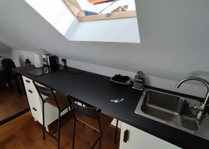 The Nest Apartment Brașov