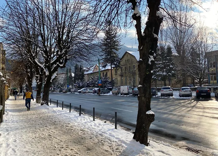 Castanilor 12-Parking Included Apartment Brașov