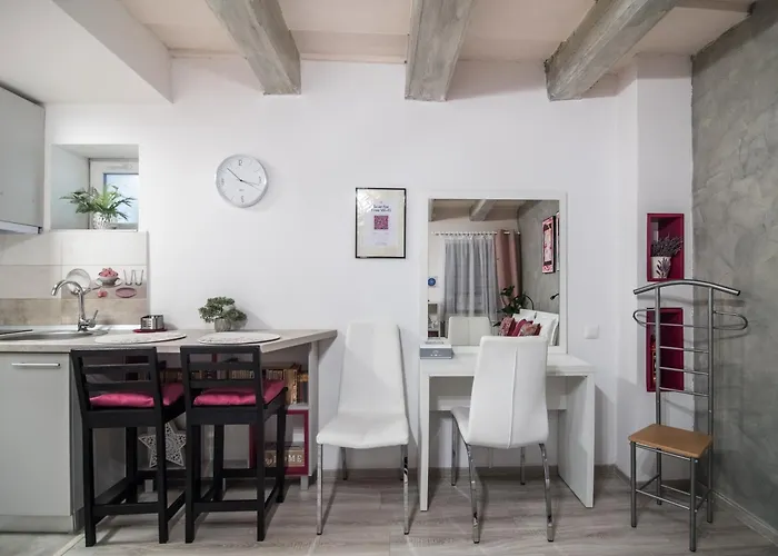 Magic House Brasov Apartment