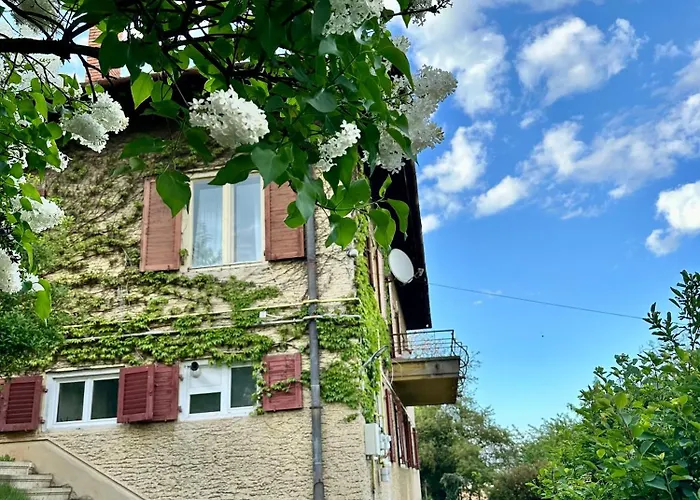 Cloos - Elegant Residence With Panoramic View Brașov