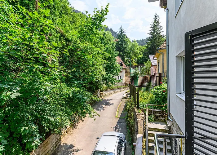 Serene Garden Apartments With Parking Brașov