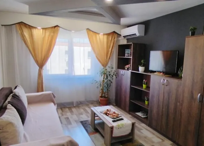 Casa lui Andrei Apartment Brașov