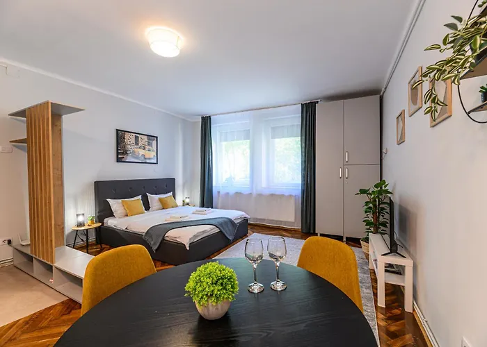 Studio Central lângă Biserica Neagră și Turnul Alb Brașov
