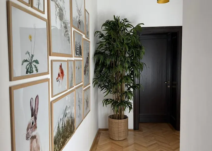 Nature-Inspired Stay in Piata Sfatului Brașov
