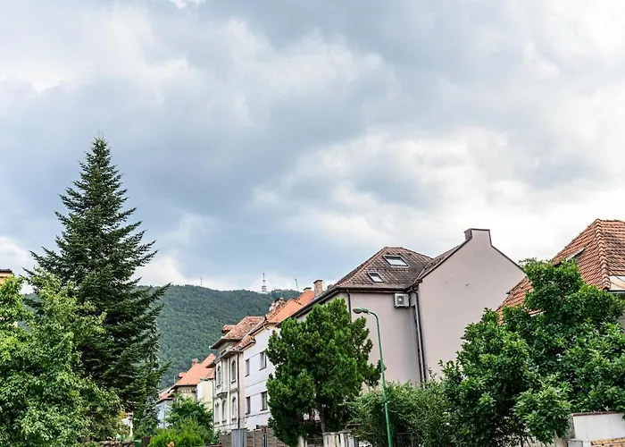 Brasov Hillside Suite Near City Center