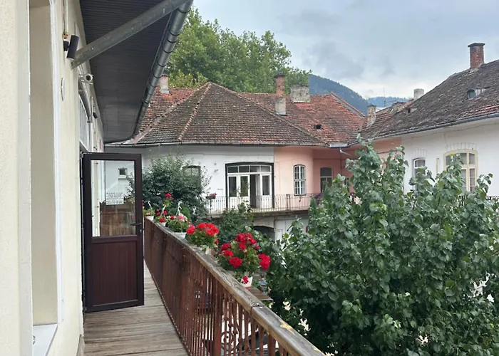 Centru Vechi Brasov Apartment