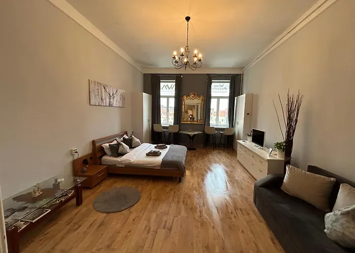 The Stag Ultracentral Oldtown Apartment Brașov