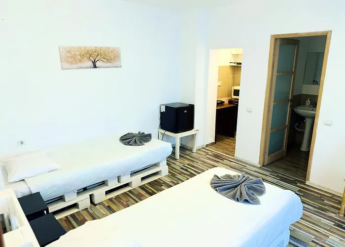 Schei Braşov-Скей Брашов Apartment