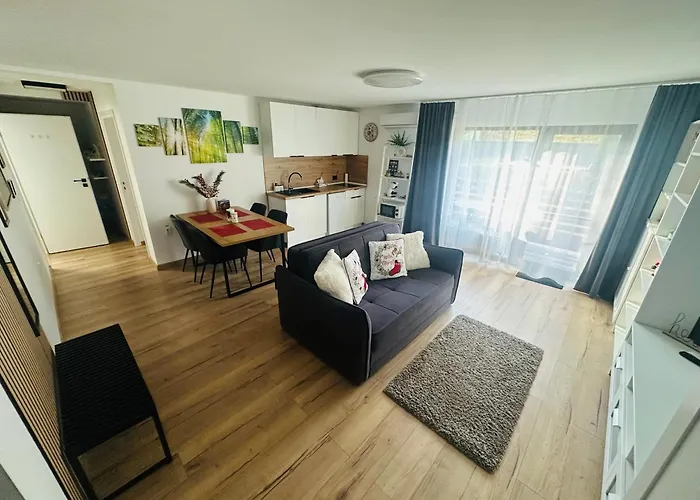 Andreea Studio Brașov