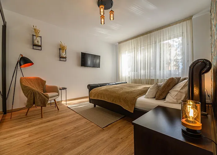 Xili'S Apartment & Free Private Parking Brașov