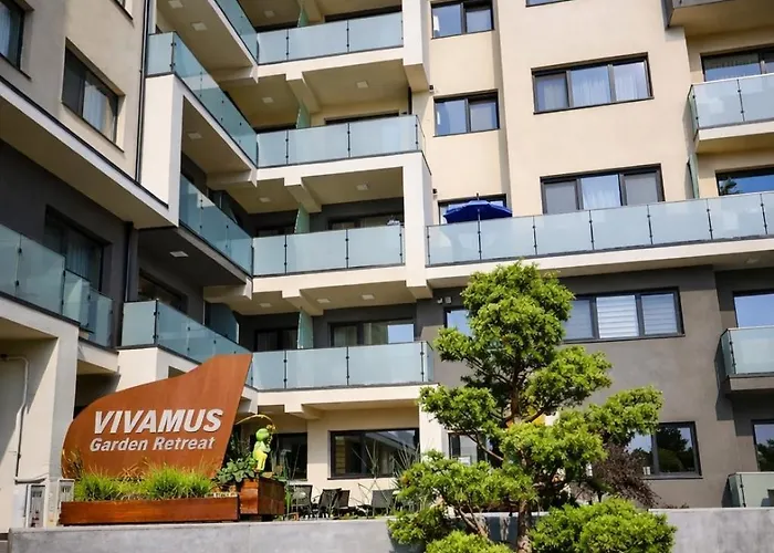 Vivamus Studio Brașov