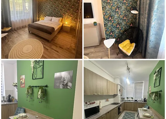 NewLevel Studio Brașov