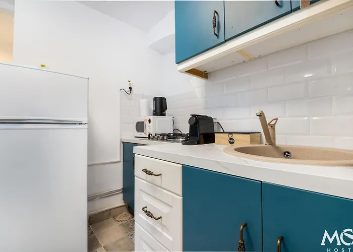 Cozy Brasov Center Apartment