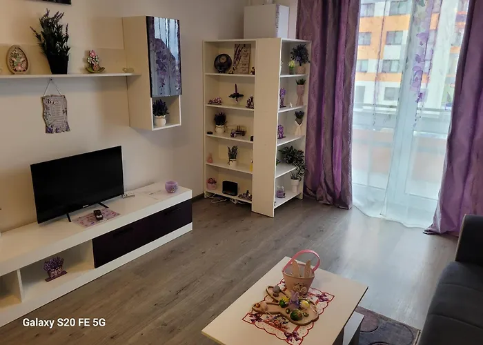 Casa cu lavanda Brașov