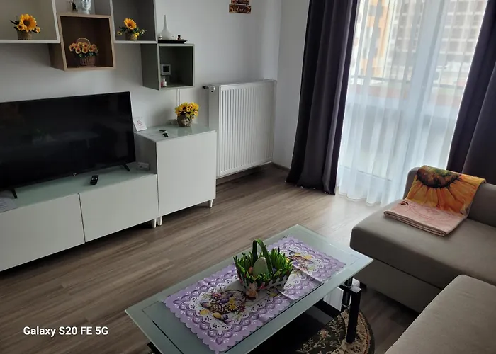 Casa cu Floarea Soarelui Apartment Brașov