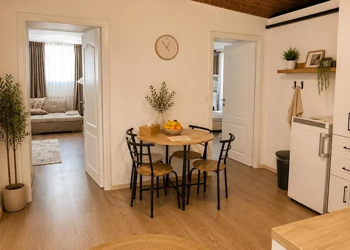 Sabin Apartments Private Parking Brașov