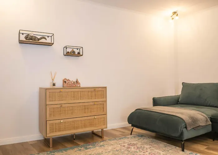 Casa Puscariu Apartment Brașov