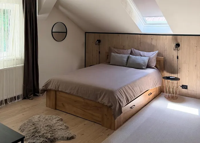 Villa Tampa - Free Parking In The Old Town Brașov