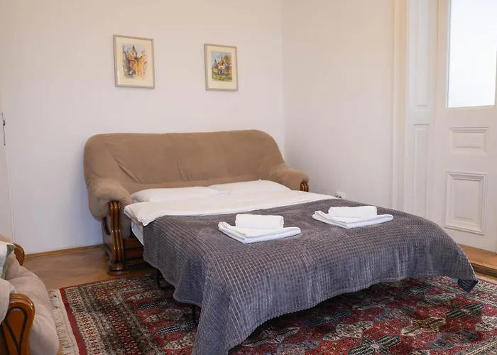 Casa Puscariu Apartment Brașov