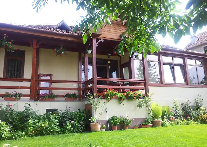 Casa Marius Apartment Brașov