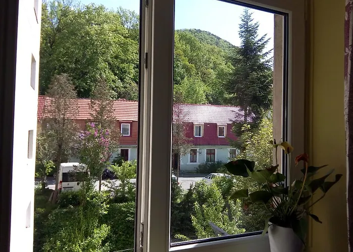 Studio Patria Brașov