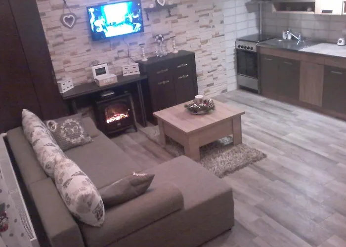 Duplex Alexander Apartment Brașov