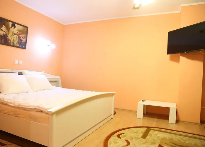 Luxury Brasov Apartment