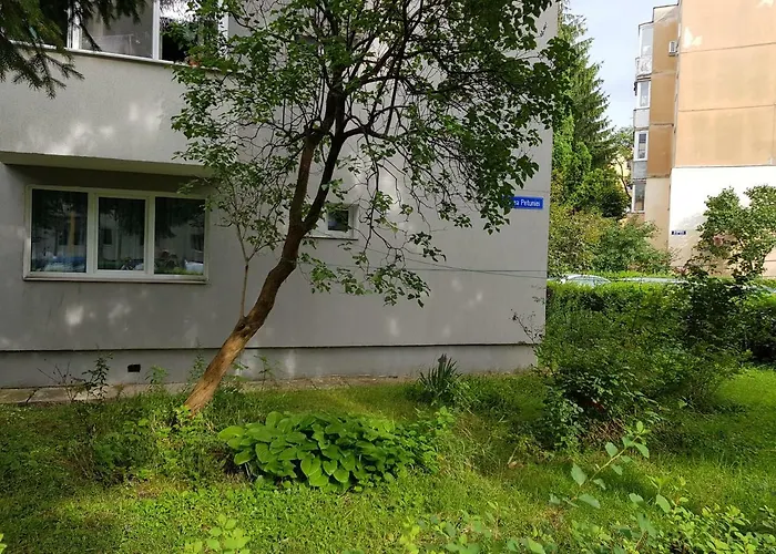 Petuniei Apartment Brașov