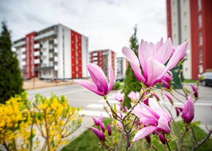 Belle View Apartment Brașov