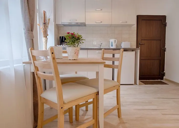 Casa Witting Apartment Brașov