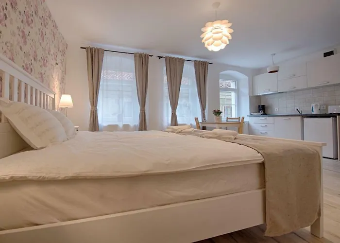 Casa Witting Apartment Brașov
