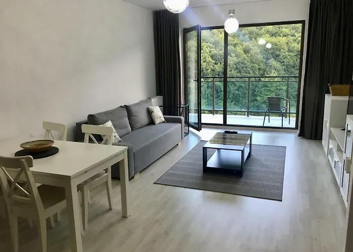Nature View Apartment Brașov